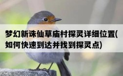 夢幻新誅仙草廟村探靈詳細位置，如何快速到達并找到探靈點