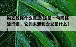 誒去找你什么意思，這是一句網絡流行語，它的來源和含義是什么？