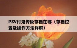 PSV討鬼傳極存檔在哪（存檔位置及操作方法詳解）