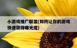 小游戲推廣聯盟，如何讓你的游戲快速獲得曝光度