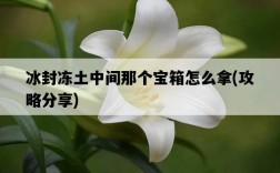 冰封凍土中間那個寶箱怎么拿，攻略分享