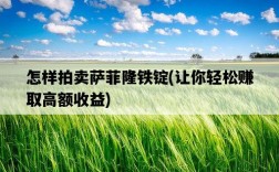 怎樣拍賣薩菲隆鐵錠，讓你輕松賺取高額收益