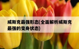 威斯克最強形態，全面解析威斯克最強的變身狀態