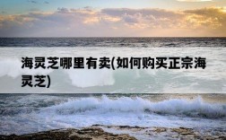 海靈芝哪里有賣，如何購買正宗海靈芝