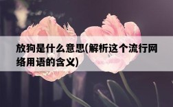 放狗是什么意思，解析這個流行網絡用語的含義