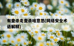 有查殺走查殺啥意思，網絡安全術語解釋