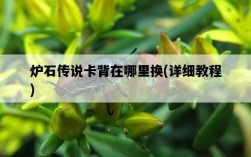 爐石傳說卡背在哪里換，詳細教程