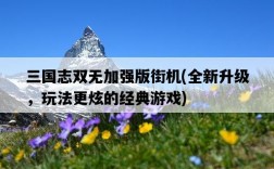 三國志雙無加強版街機，全新升級，玩法更炫的經典游戲