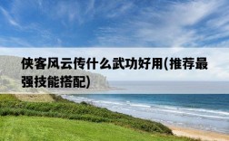 俠客風云傳什么武功好用，推薦最強技能搭配