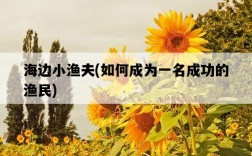 海邊小漁夫，如何成為一名成功的漁民