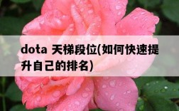 dota 天梯段位，如何快速提升自己的排名