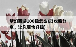 夢幻西游100級怎么玩，攻略分享，讓你更快升級