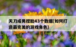 天刀成男捏臉43個數據,如何打造最完美的游戲角色