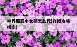 神界原罪小女孩怎么救，詳細攻略指南