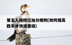 第五人格排位加分規則，如何提高勝率并快速晉級