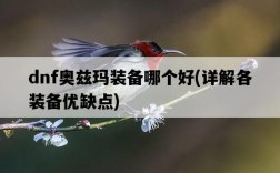 dnf奧茲瑪裝備哪個好，詳解各裝備優缺點