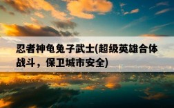忍者神龜兔子武士，超級英雄合體戰斗，保衛城市安全