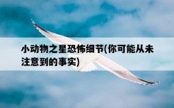 小動物之星恐怖細節，你可能從未注意到的事實
