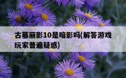 古墓麗影10是暗影嗎，解答游戲玩家普遍疑惑