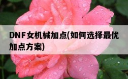 DNF女機械加點，如何選擇最優加點方案