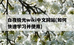 白夜極光wiki中文網站，如何快速學習并使用