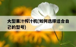 大型果汁榨汁機，如何選擇適合自己的型號