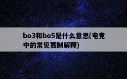 bo3和bo5是什么意思，電競中的常見賽制解釋