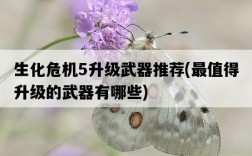 生化危機5升級武器推薦，最值得升級的武器有哪些