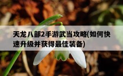 天龍八部2手游武當攻略，如何快速升級并獲得最佳裝備