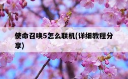 使命召喚5怎么聯機,詳細教程分享