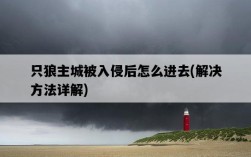 只狼主城被入侵后怎么進去，解決方法詳解