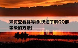 如何查看群等級，快速了解QQ群等級的方法