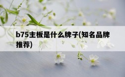 b75主板是什么牌子,知名品牌推薦