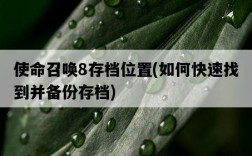 使命召喚8存檔位置，如何快速找到并備份存檔