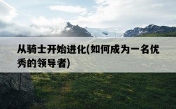 從騎士開始進化，如何成為一名優秀的領導者