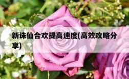 新誅仙合歡提高速度，高效攻略分享