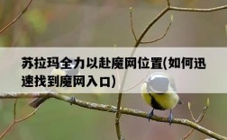 蘇拉瑪全力以赴魔網位置，如何迅速找到魔網入口