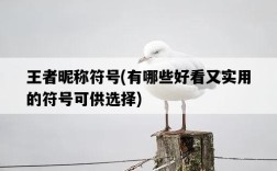 王者昵稱符號，有哪些好看又實用的符號可供選擇