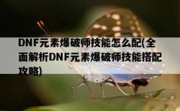 DNF元素爆破師技能怎么配，全面解析DNF元素爆破師技能搭配攻略