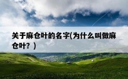 關于麻倉葉的名字，為什么叫做麻倉葉？