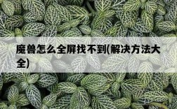 魔獸怎么全屏找不到，解決方法大全