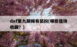 dnf第九期稀有裝扮,哪些值得收藏?