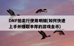 DNF拍賣行使用明細，如何快速上手并賺取豐厚的游戲金幣