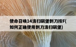 使命召喚14清掃碉堡刺刀按F，如何正確使用刺刀清掃碉堡