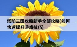 塔防三國攻略新手全部攻略，如何快速提升游戲技巧