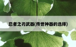 忍者之刃武器，傳世神器的選擇
