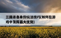 三國殺各身份玩法技巧，如何在游戲中發揮最大優勢