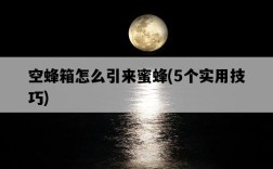 空蜂箱怎么引來蜜蜂，5個實用技巧