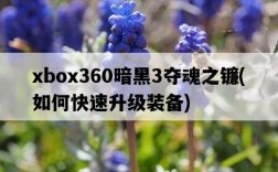 xbox360暗黑3奪魂之鐮，如何快速升級裝備