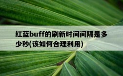 紅藍buff的刷新時間間隔是多少秒，該如何合理利用